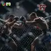 Mma
