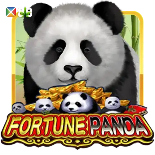 Fortune Panda