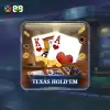 Texas Hold'em Poker