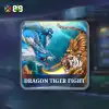 Dragon Tiger Fight