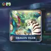 Dragon Tiger