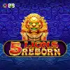 5 Lions Reborn